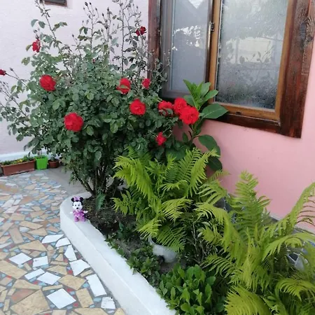 Gasthof Casa Ancora 3*