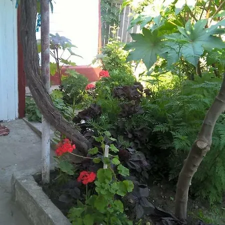 Casa Ancora Pensjonat